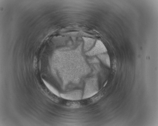 X0000082680559200702232141