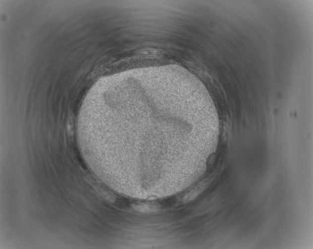 X0000082680561200702232141