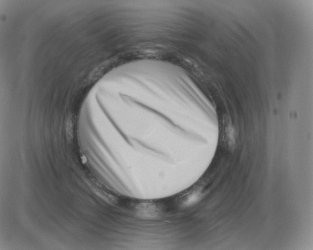 X0000082680562200702232141