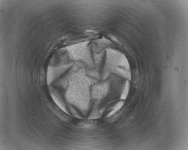 X0000082680563200702232141