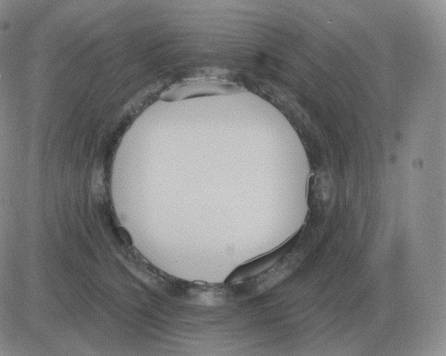 X0000082680564200702232141