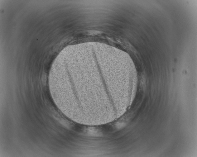 X0000082680565200702232141