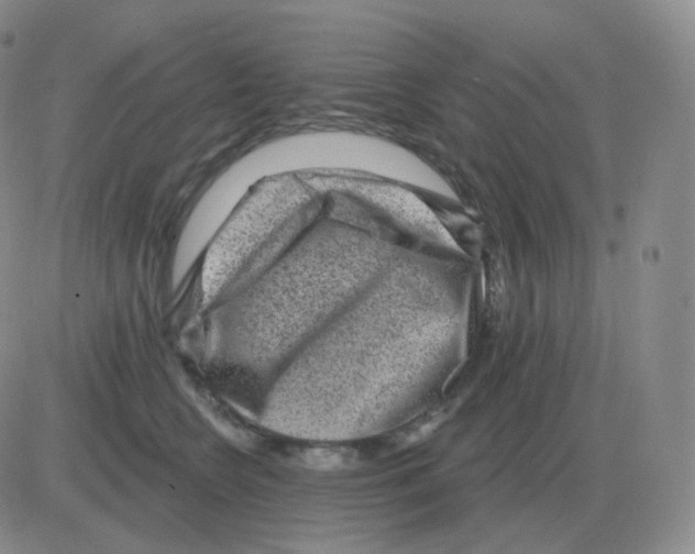 X0000082680566200702232141