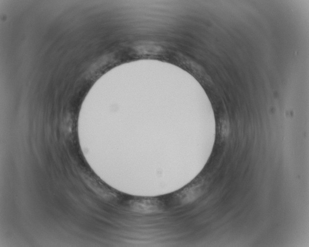 X0000082680567200702232141