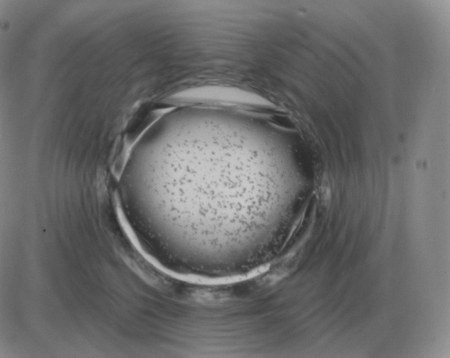 X0000082680568200702232141