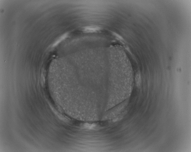 X0000082680570200702232141