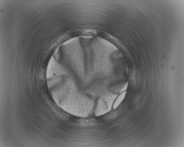 X0000082680571200702232141