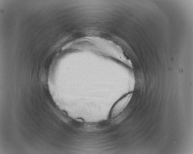 X0000082680573200702232141