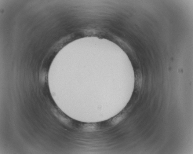 X0000082680574200702232141