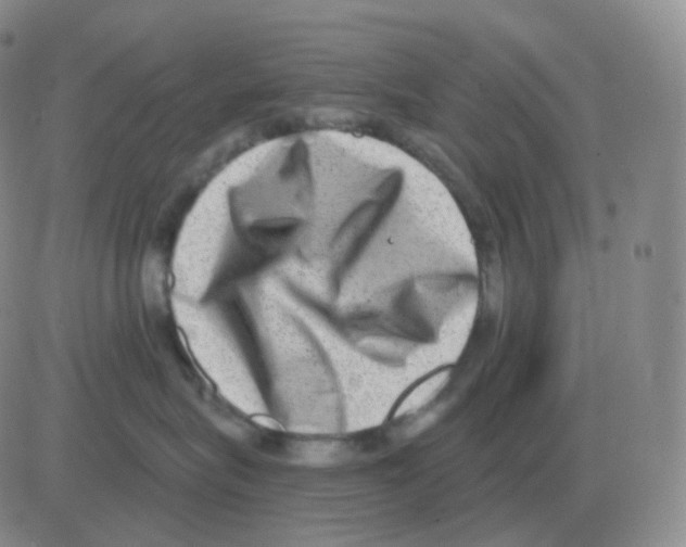 X0000082680575200702232141