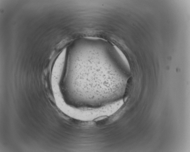 X0000082680576200702232141