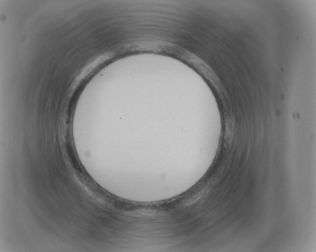 X0000082680578200702232140