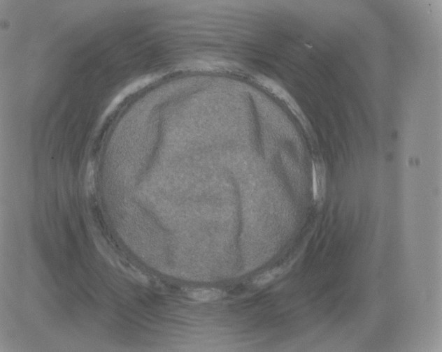 X0000082680579200702232140