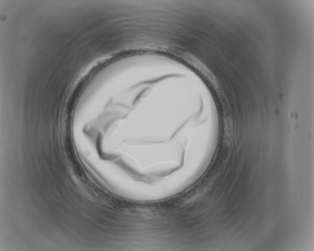 X0000082680580200702232140