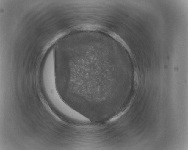 X0000082680581200702232140