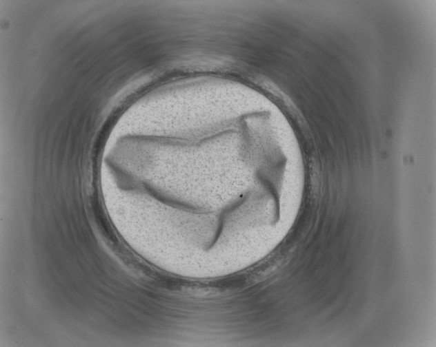 X0000082680582200702232140