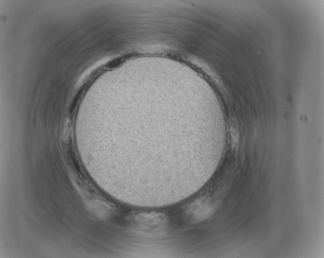 X0000082680583200702232140