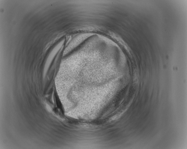 X0000082680585200702232140