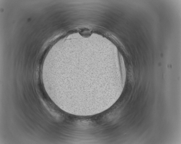 X0000082680586200702232140