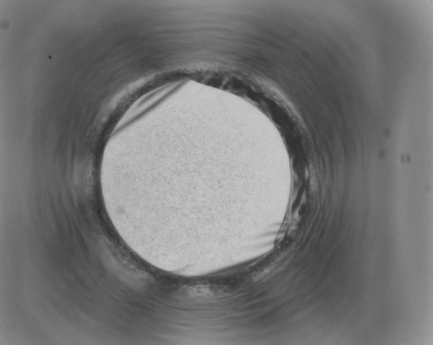 X0000082680588200702232140