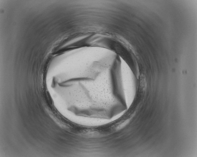 X0000082680589200702232140