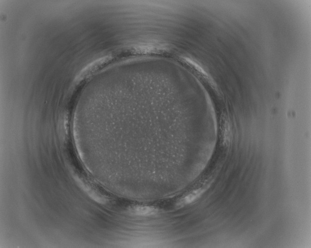 X0000082680590200702232140