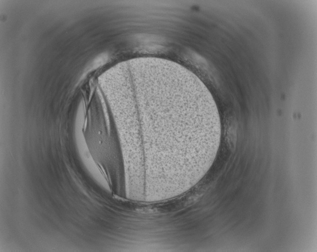 X0000082680591200702232140