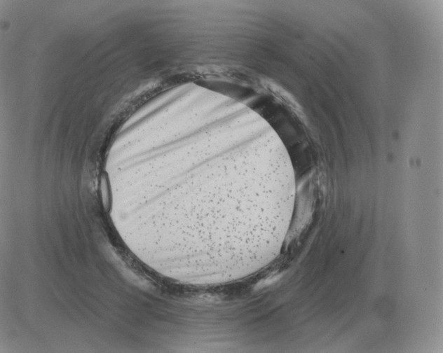 X0000082680593200702232140