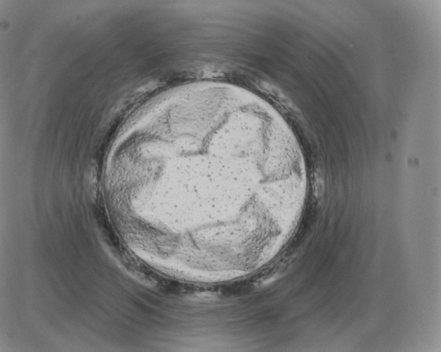 X0000082680594200702232140