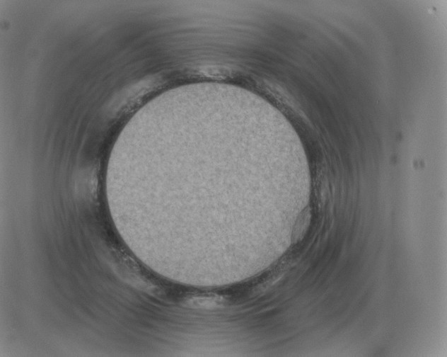 X0000082680595200702232140