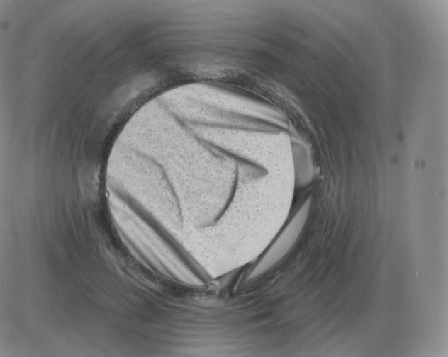 X0000082680596200702232140