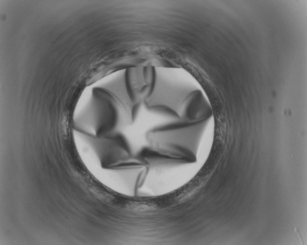 X0000082680597200702232140