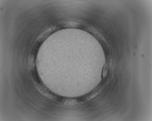 X0000082680599200702232140