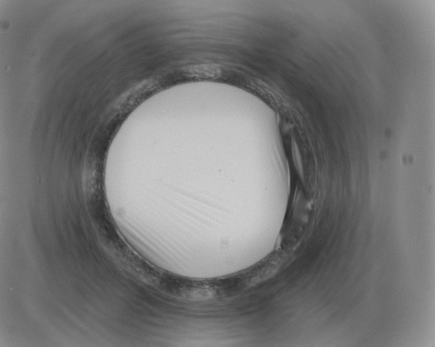 X0000082680600200702232140