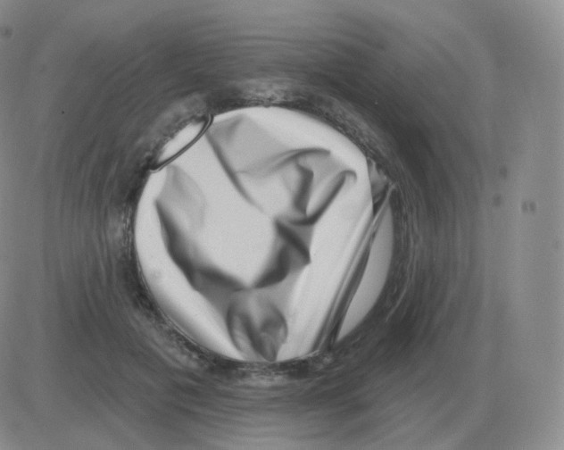 X0000082680601200702232140