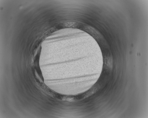 X0000082680602200702232140