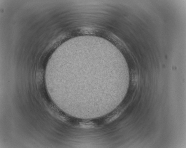 X0000082680603200702232140