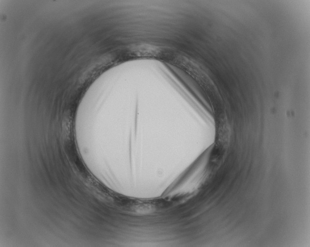 X0000082680604200702232140