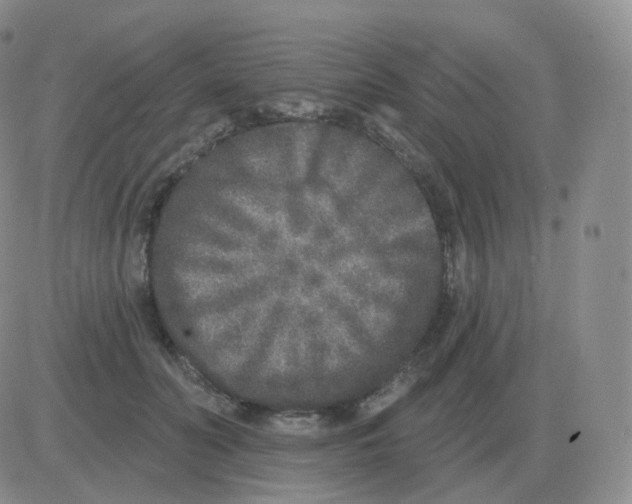 X0000082680606200702232140