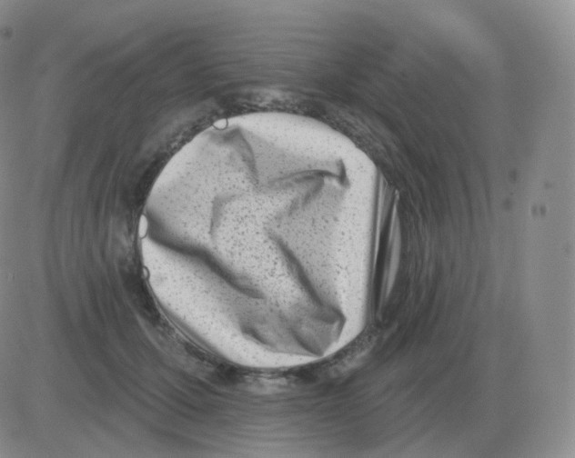 X0000082680607200702232140