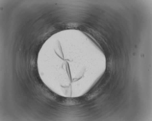 X0000082680608200702232140