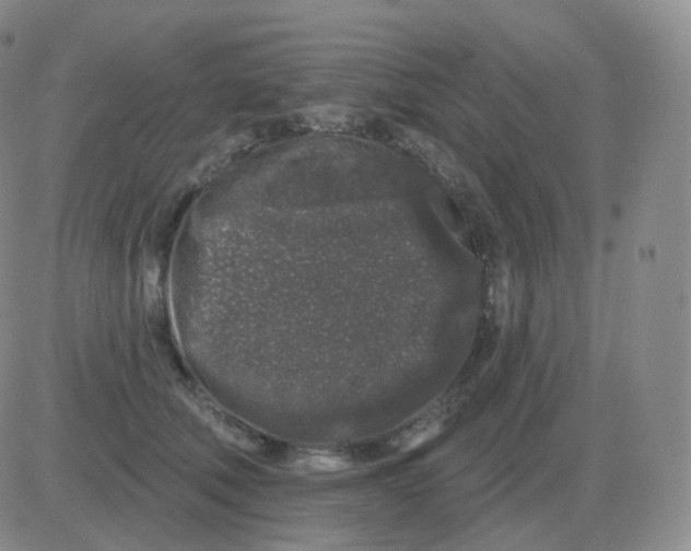 X0000082680610200702232140