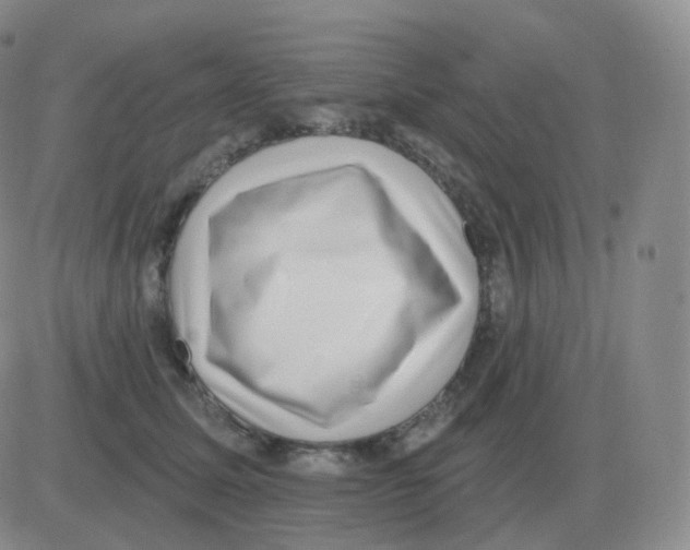 X0000082680611200702232140