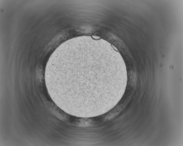 X0000082680612200702232140