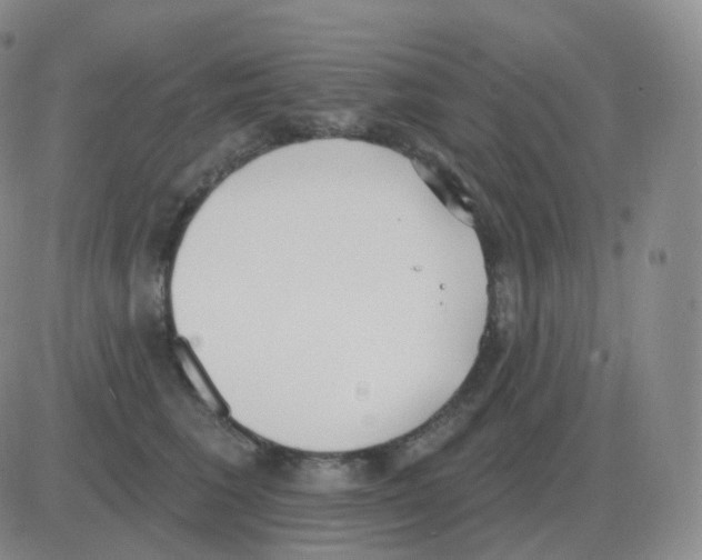 X0000082680613200702232140