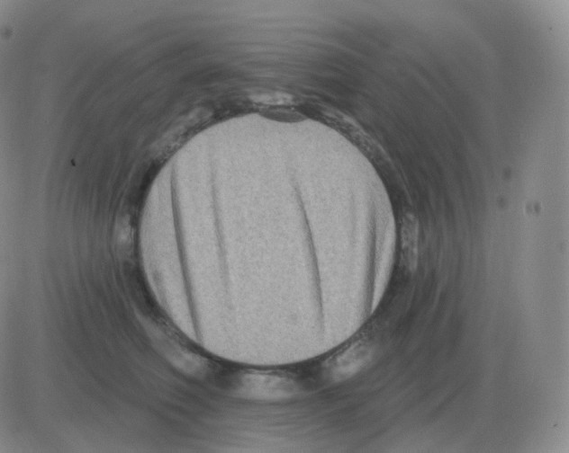 X0000082680614200702232140