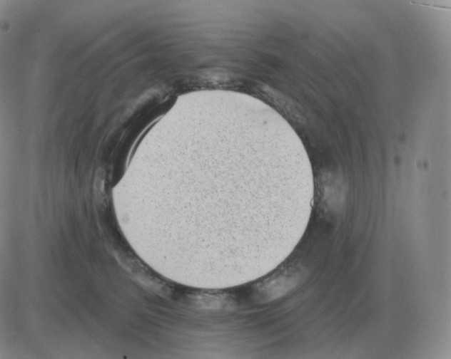 X0000082680615200702232140