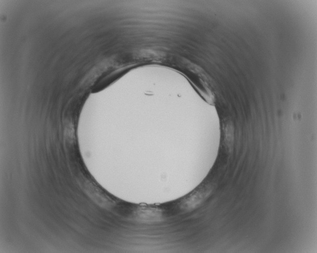 X0000082680617200702232140