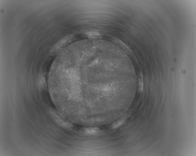 X0000082680618200702232139