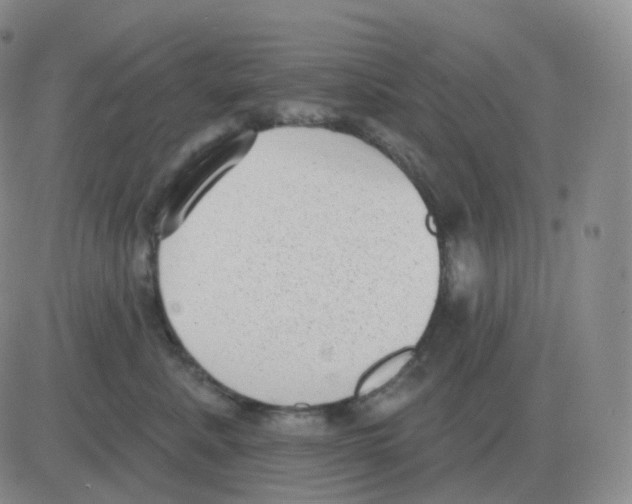 X0000082680619200702232139